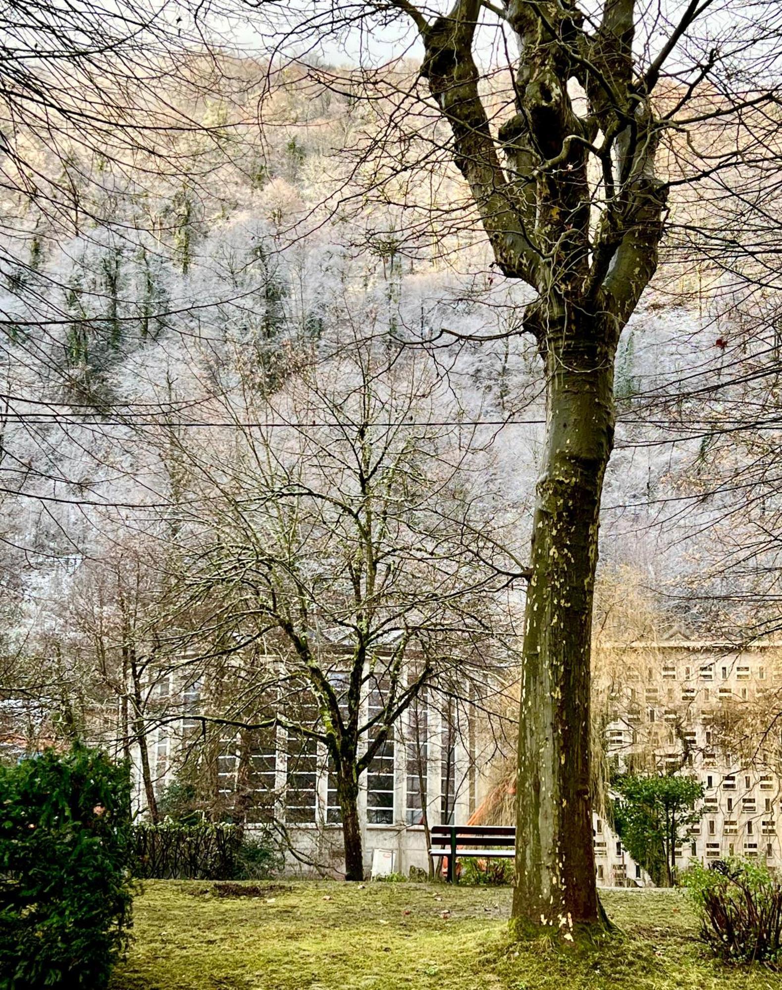 Fantastic Ground Floor Apartment Opposite Thermes Bagnères-de-Luchon Exterior foto